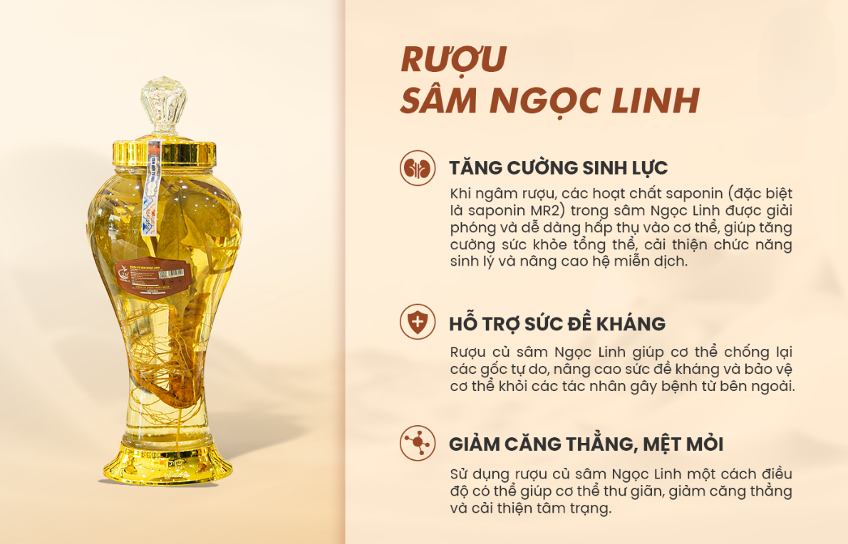 BÌNH RƯỢU SÂM NGỌC LINH TRIMICO